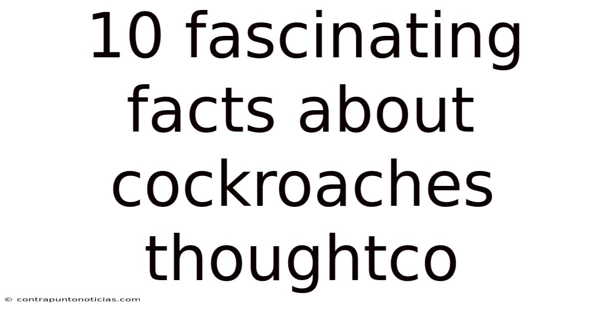 10 Fascinating Facts About Cockroaches Thoughtco
