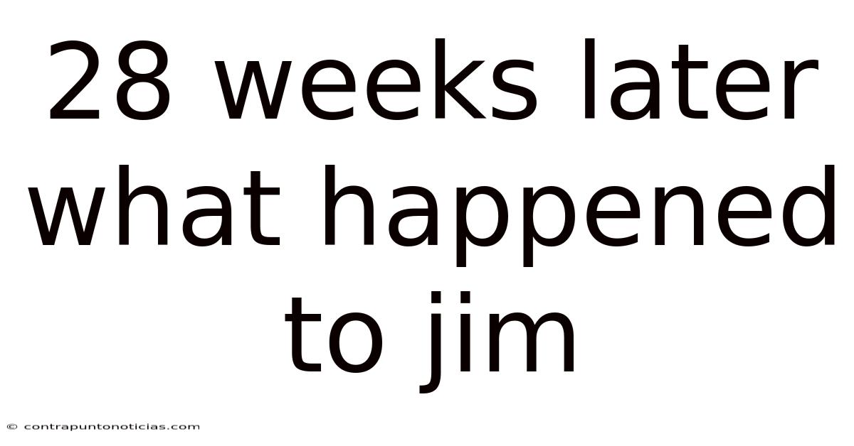 28 Weeks Later What Happened To Jim
