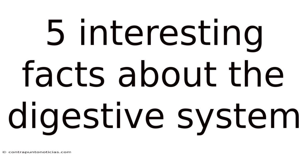 5 Interesting Facts About The Digestive System