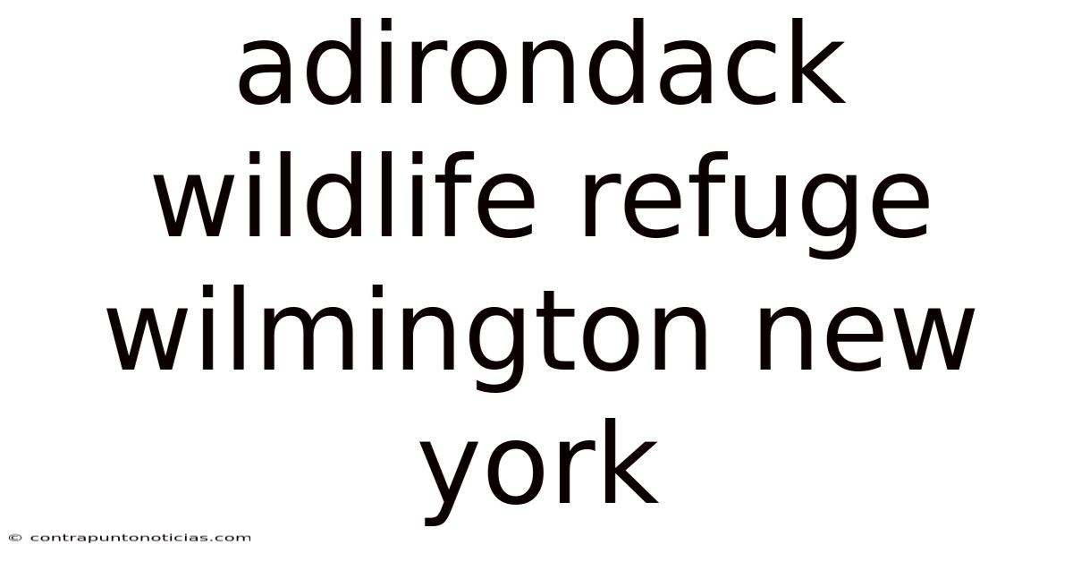 Adirondack Wildlife Refuge Wilmington New York