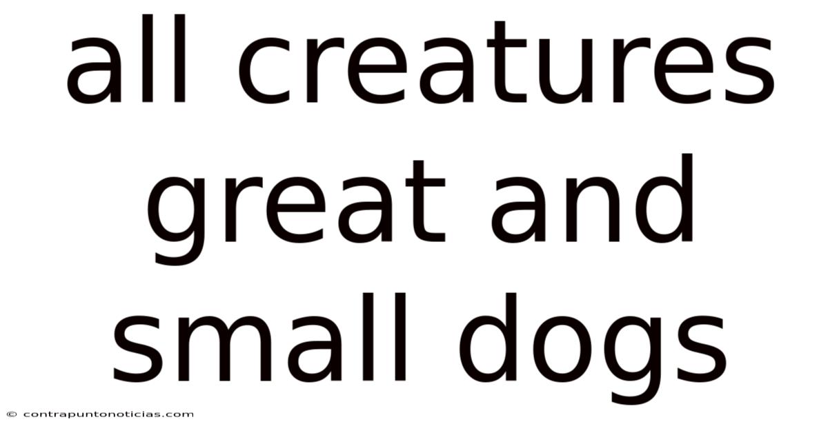 All Creatures Great And Small Dogs