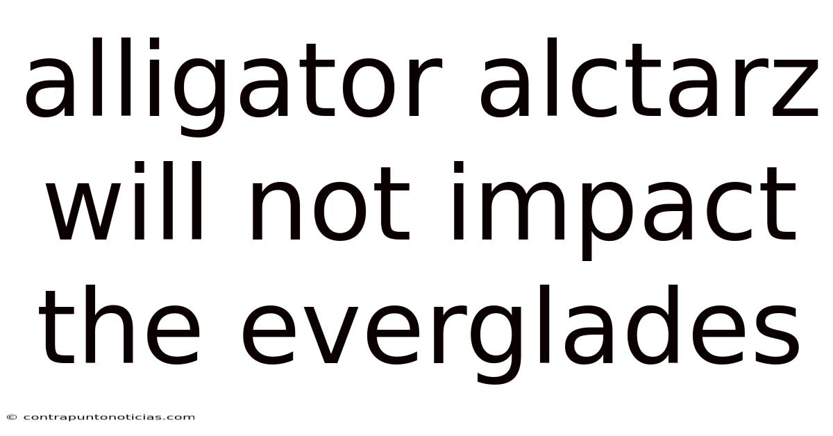 Alligator Alctarz Will Not Impact The Everglades