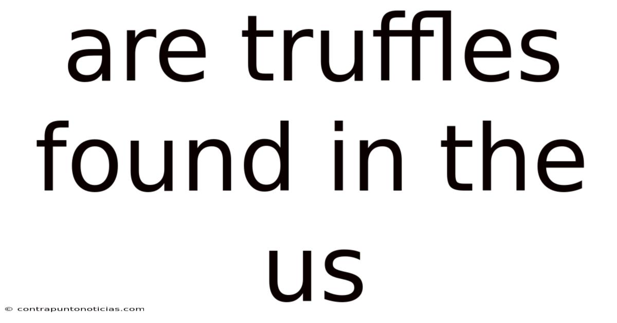 Are Truffles Found In The Us
