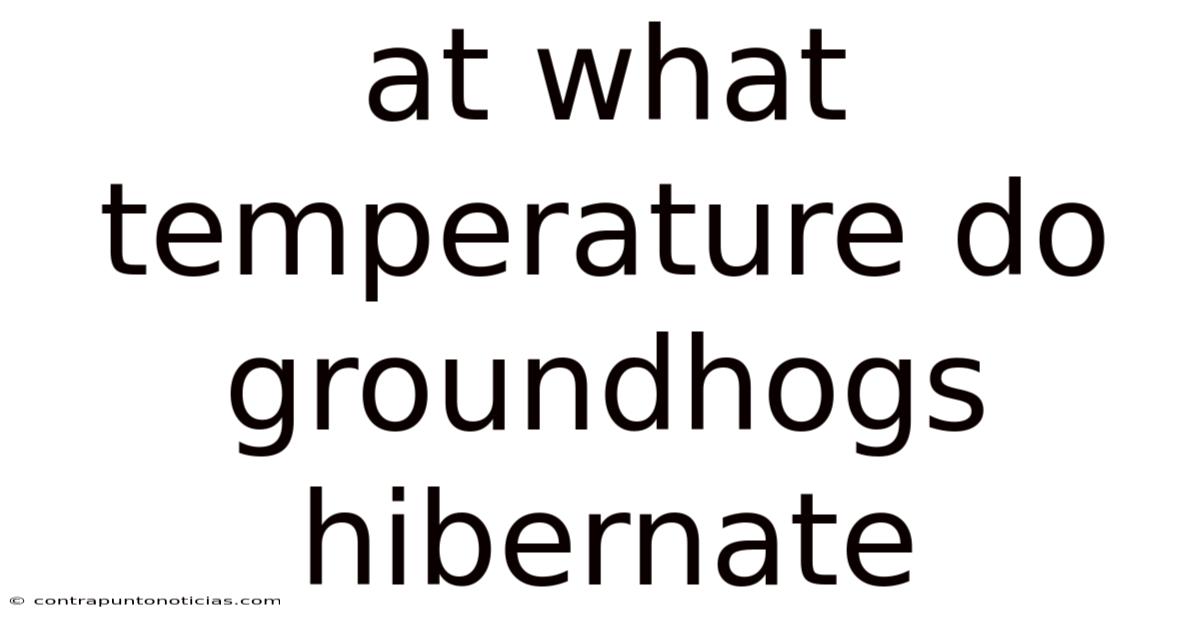 At What Temperature Do Groundhogs Hibernate