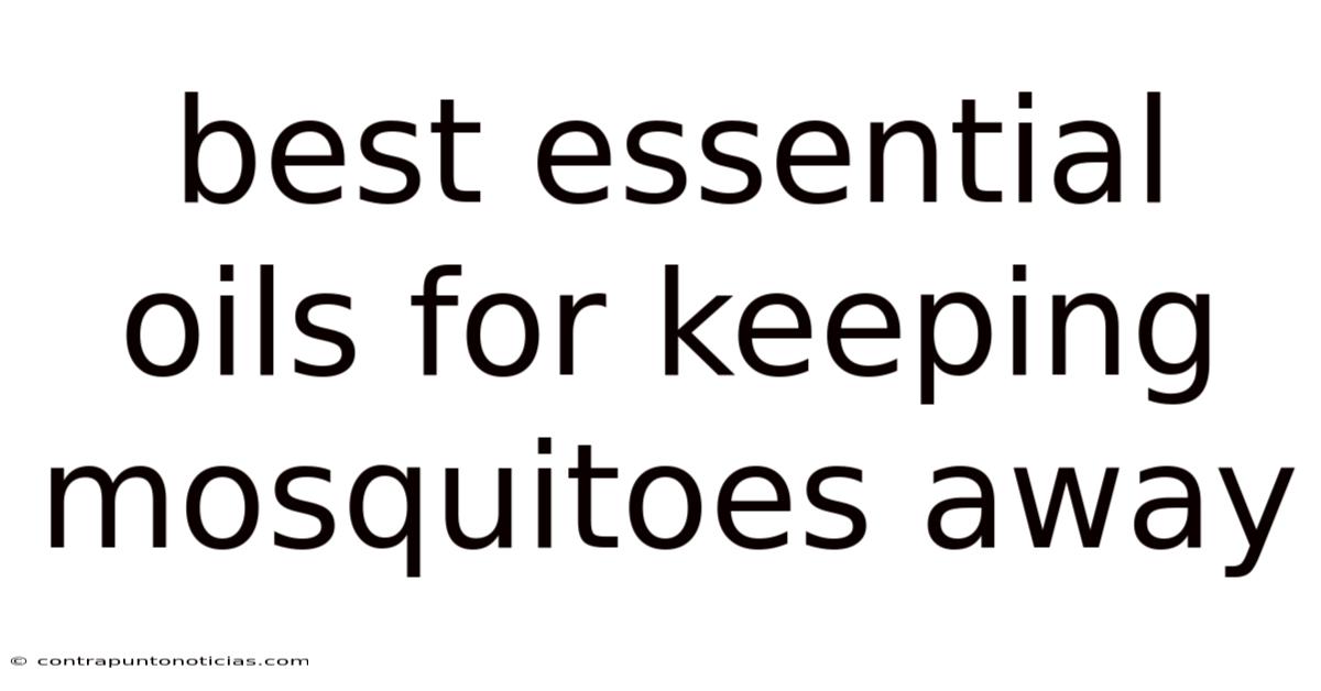 Best Essential Oils For Keeping Mosquitoes Away
