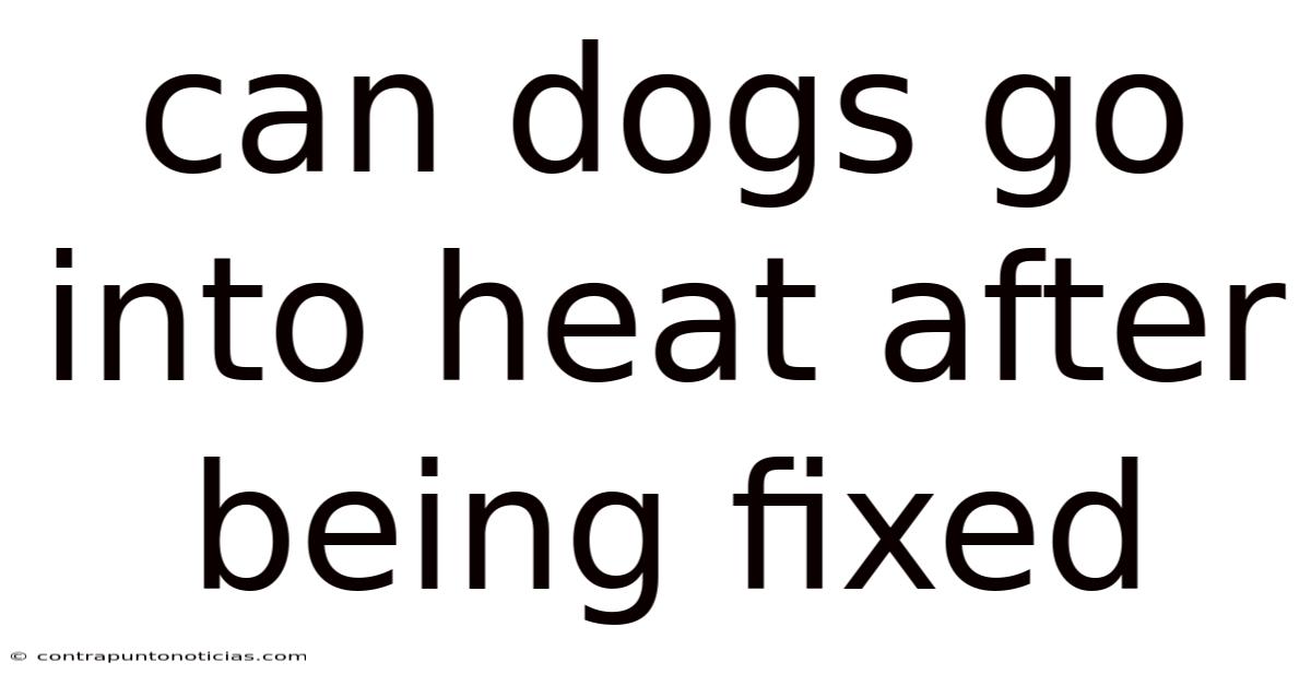 Can Dogs Go Into Heat After Being Fixed