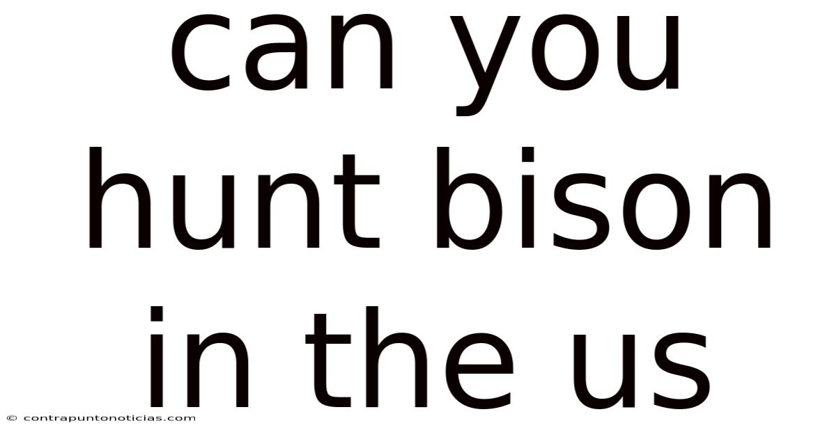 Can You Hunt Bison In The Us