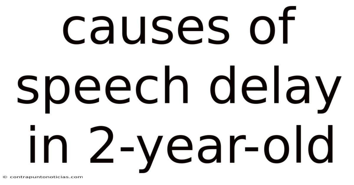 Causes Of Speech Delay In 2-year-old