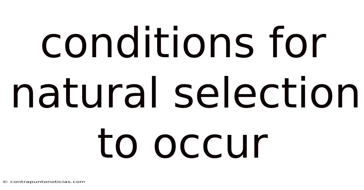 Conditions For Natural Selection To Occur