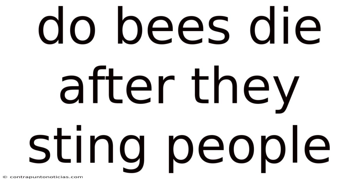 Do Bees Die After They Sting People