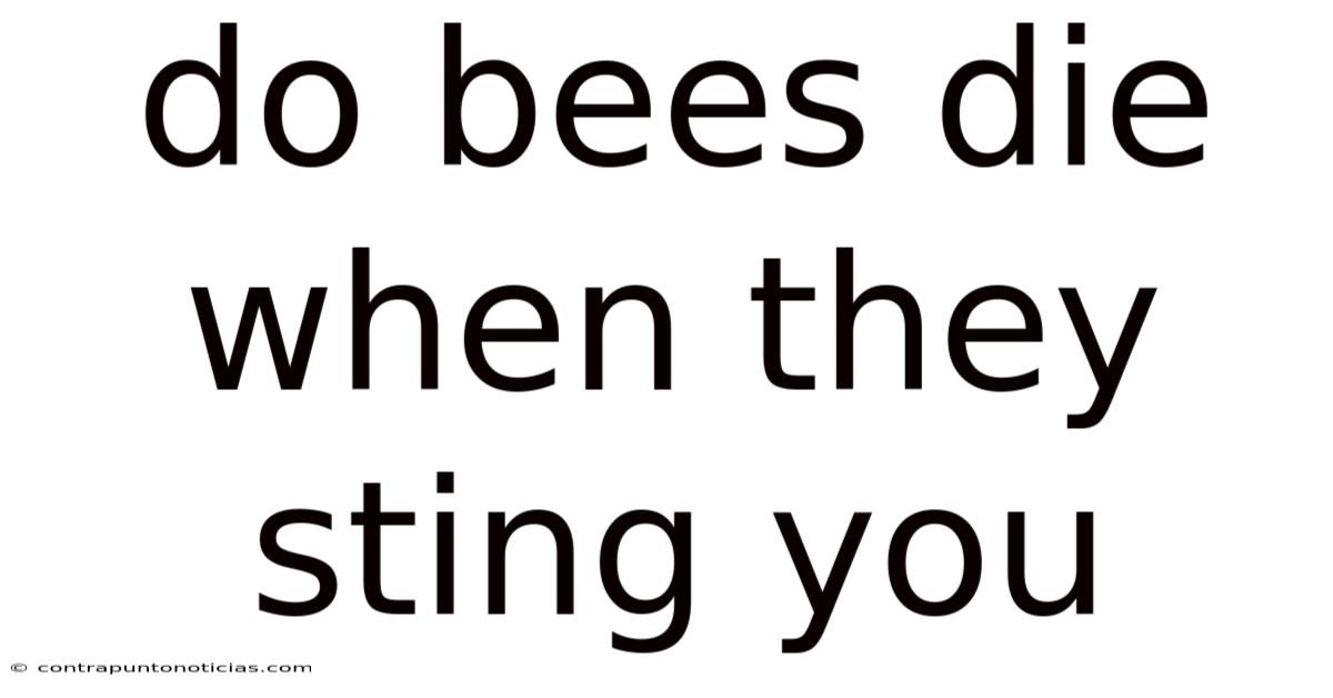 Do Bees Die When They Sting You