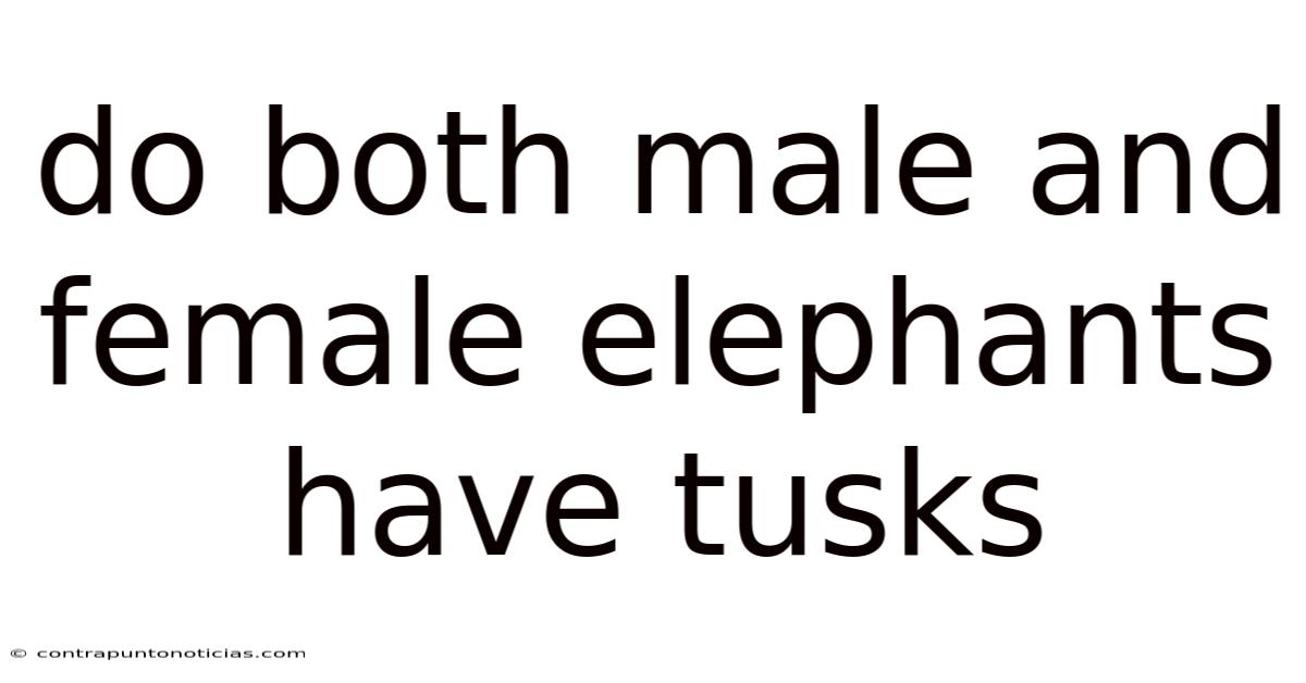 Do Both Male And Female Elephants Have Tusks