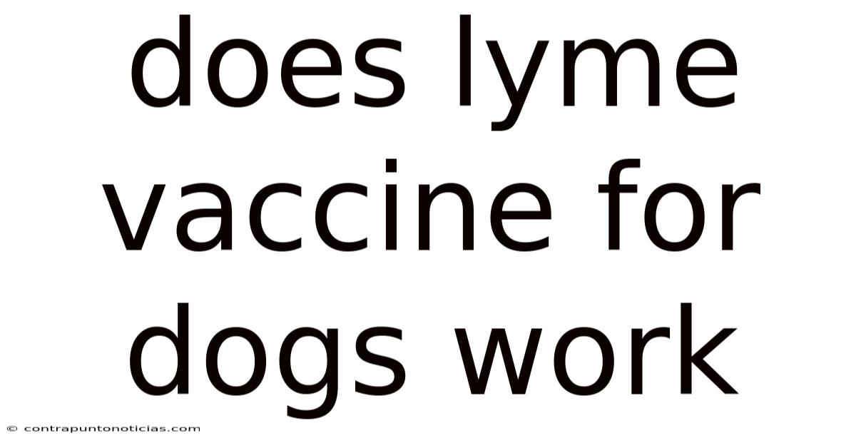 Does Lyme Vaccine For Dogs Work