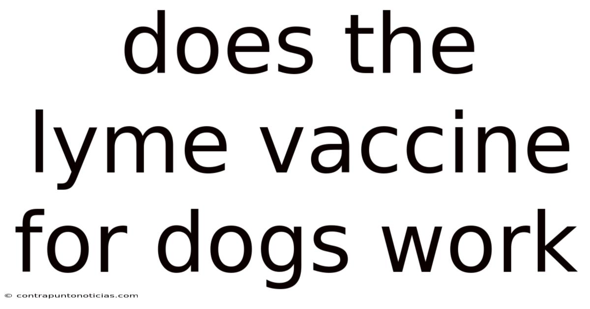 Does The Lyme Vaccine For Dogs Work
