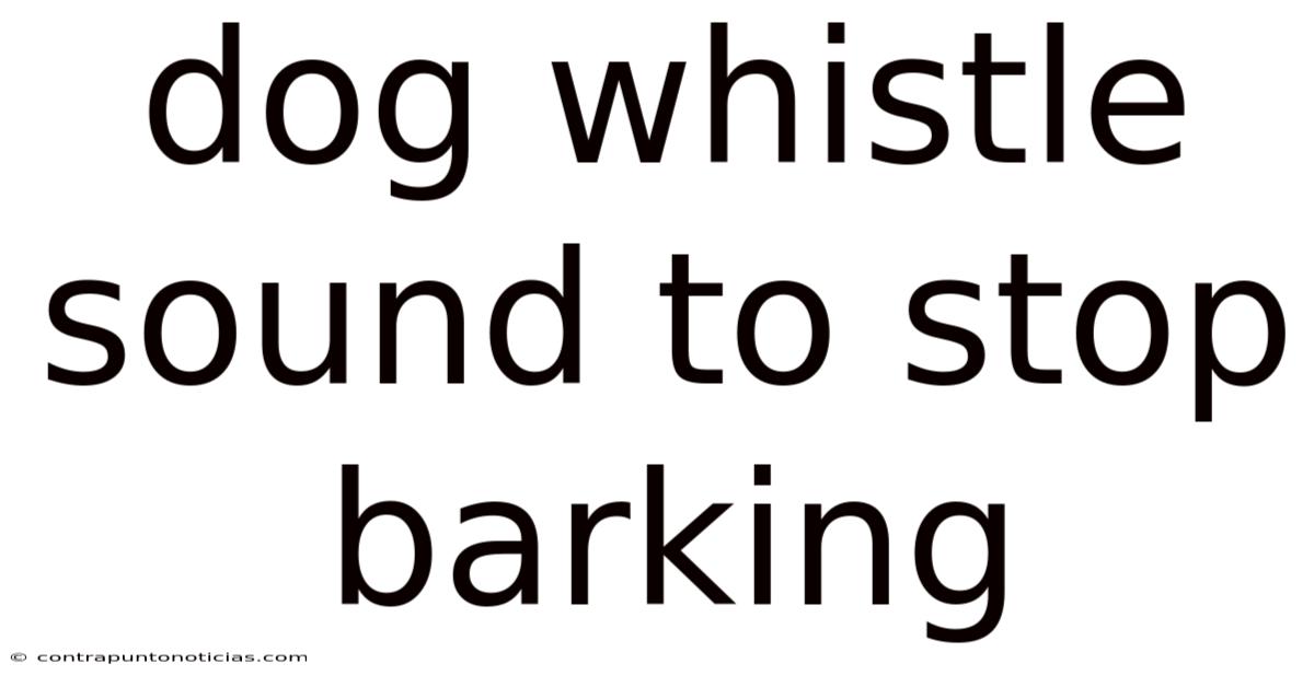 Dog Whistle Sound To Stop Barking