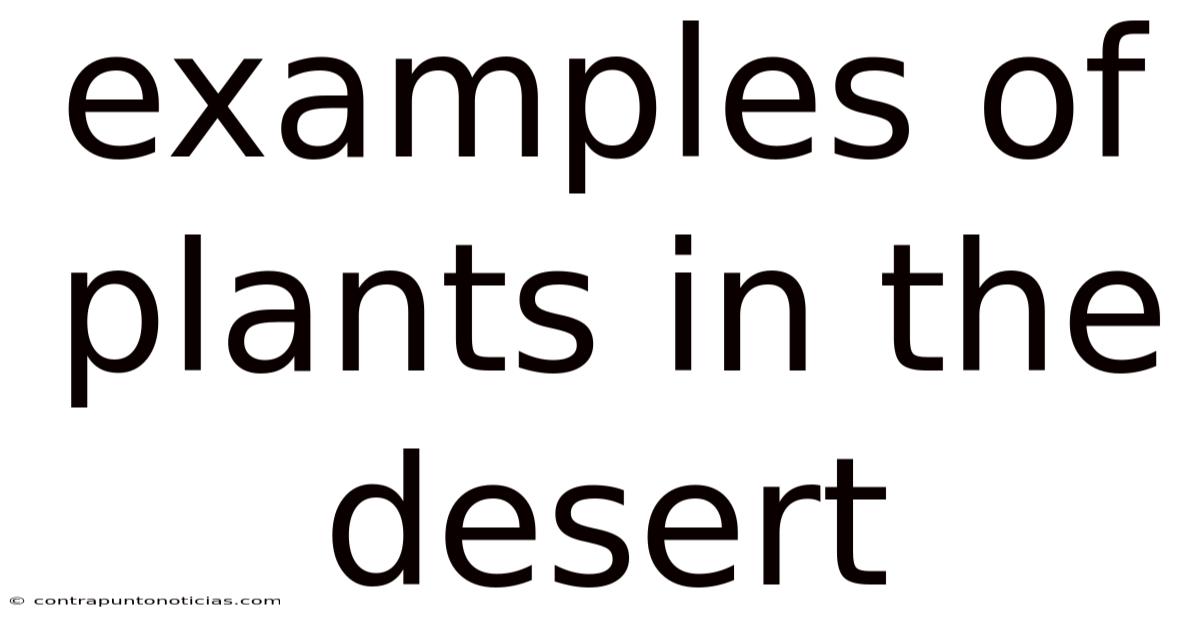 Examples Of Plants In The Desert