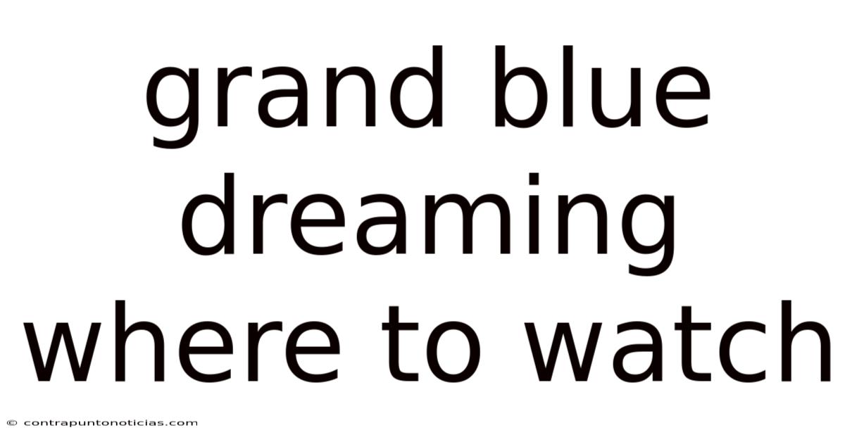 Grand Blue Dreaming Where To Watch