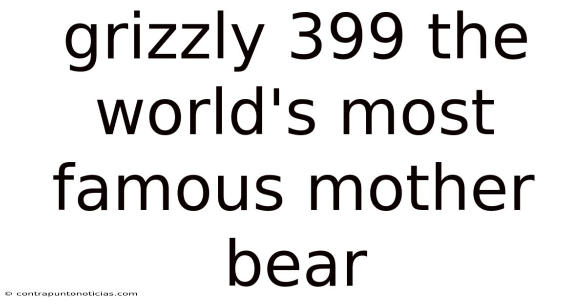 Grizzly 399 The World's Most Famous Mother Bear