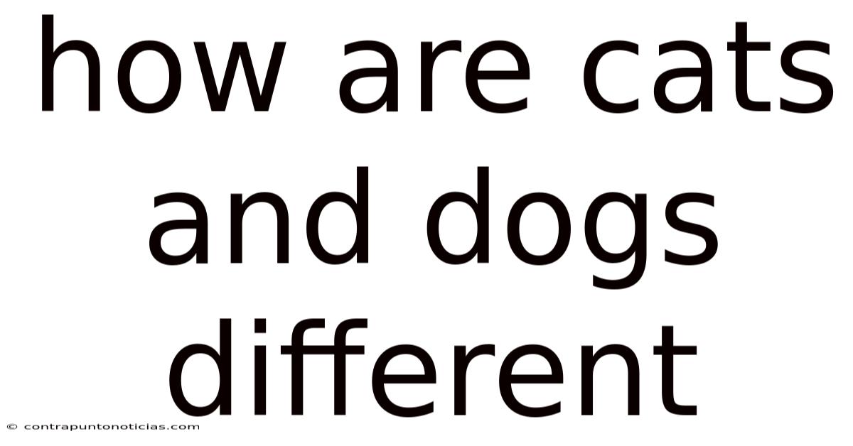 How Are Cats And Dogs Different