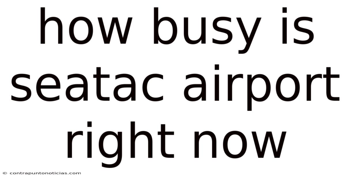 How Busy Is Seatac Airport Right Now