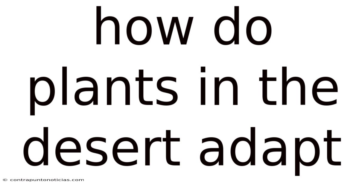 How Do Plants In The Desert Adapt