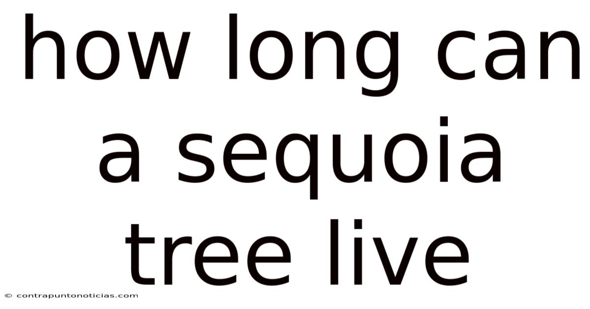 How Long Can A Sequoia Tree Live