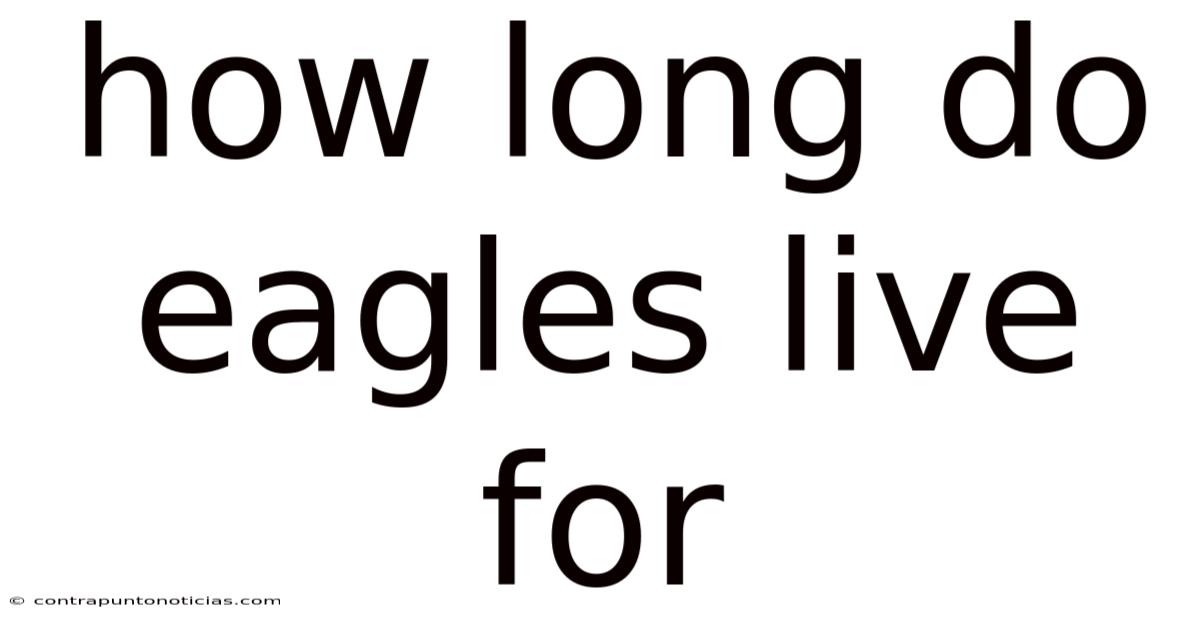 How Long Do Eagles Live For