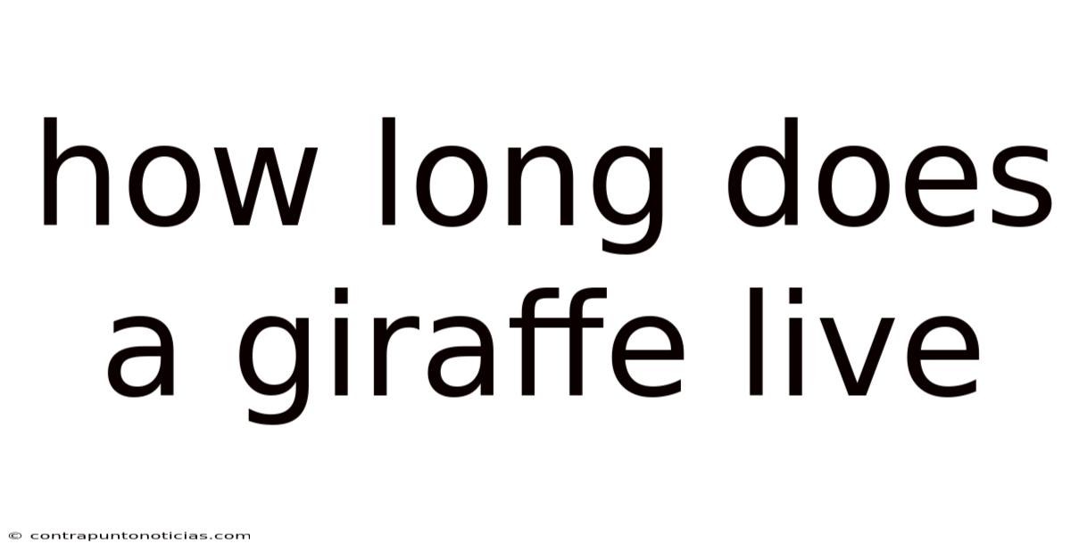 How Long Does A Giraffe Live