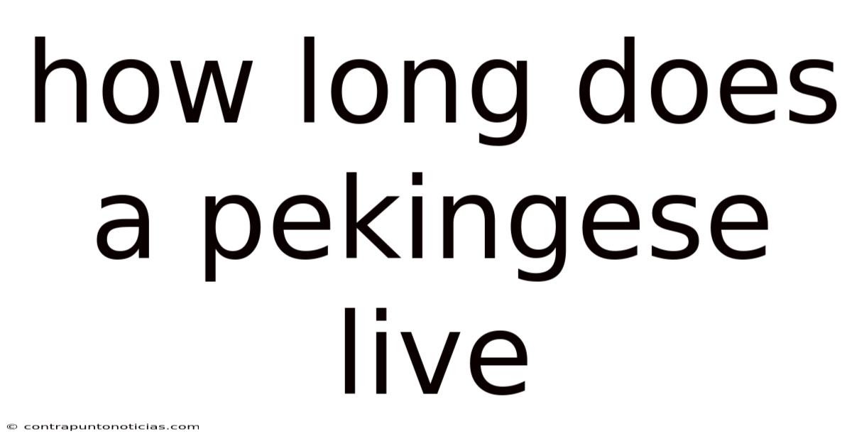 How Long Does A Pekingese Live