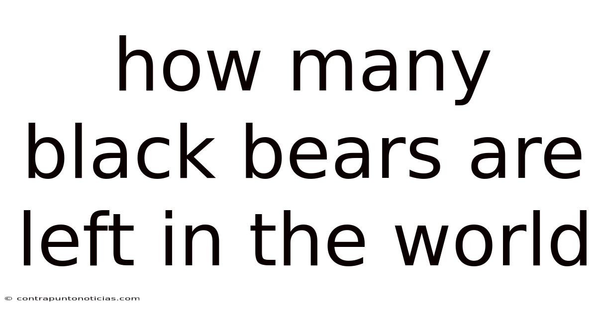 How Many Black Bears Are Left In The World