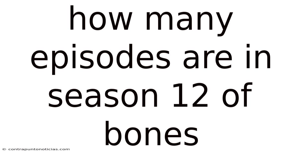 How Many Episodes Are In Season 12 Of Bones