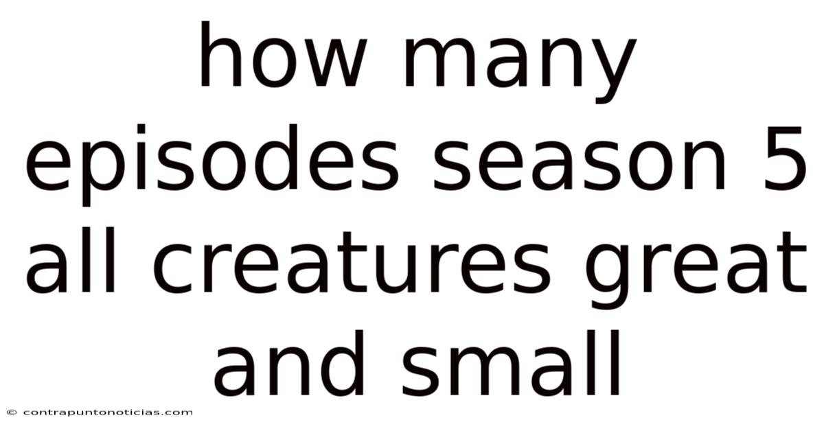How Many Episodes Season 5 All Creatures Great And Small