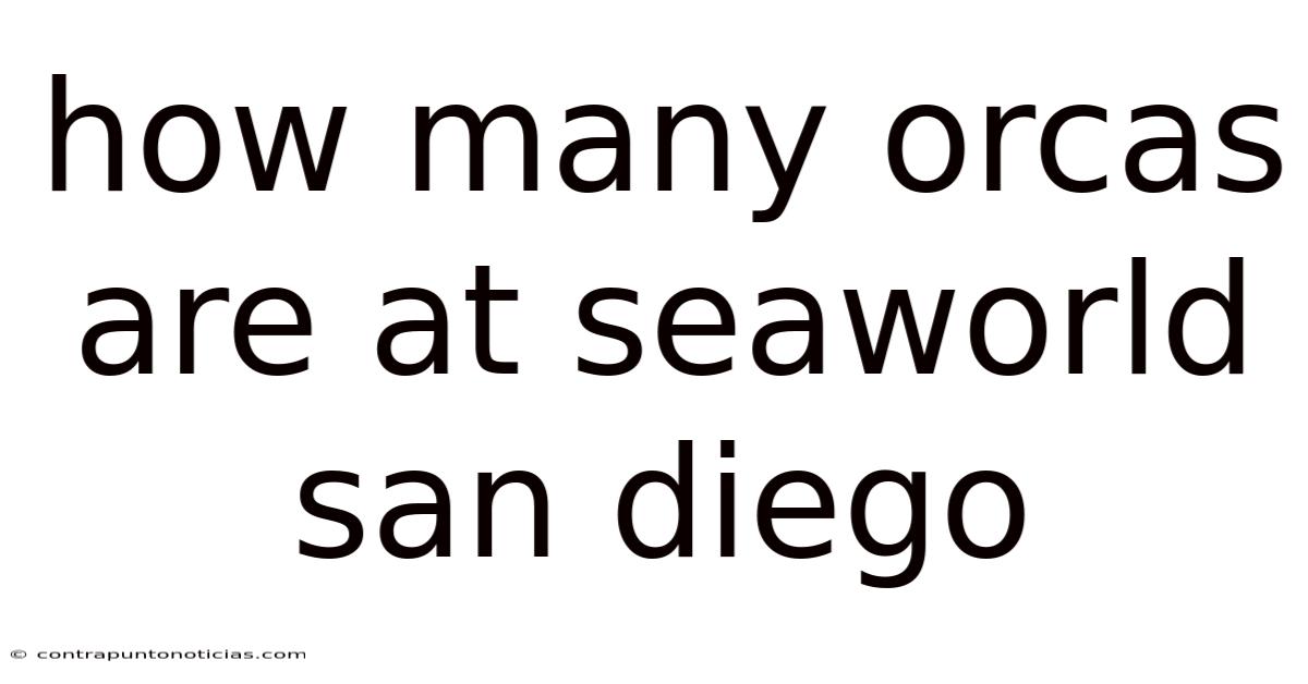 How Many Orcas Are At Seaworld San Diego