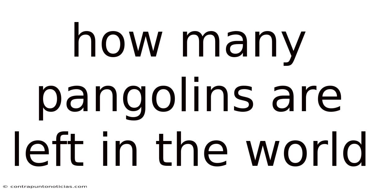 How Many Pangolins Are Left In The World