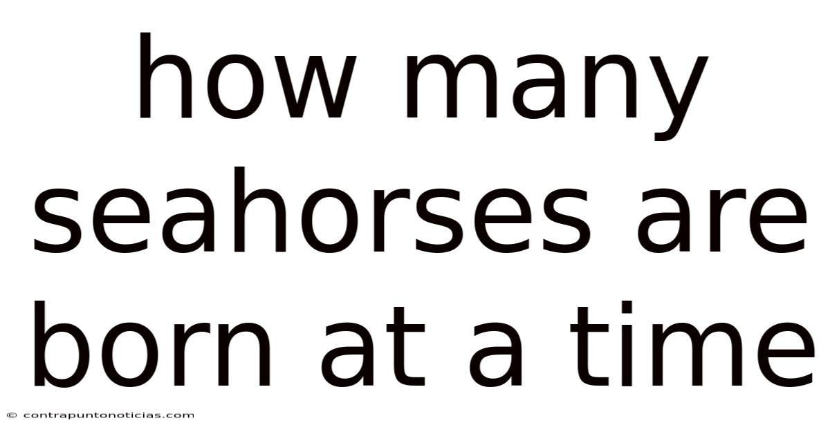 How Many Seahorses Are Born At A Time