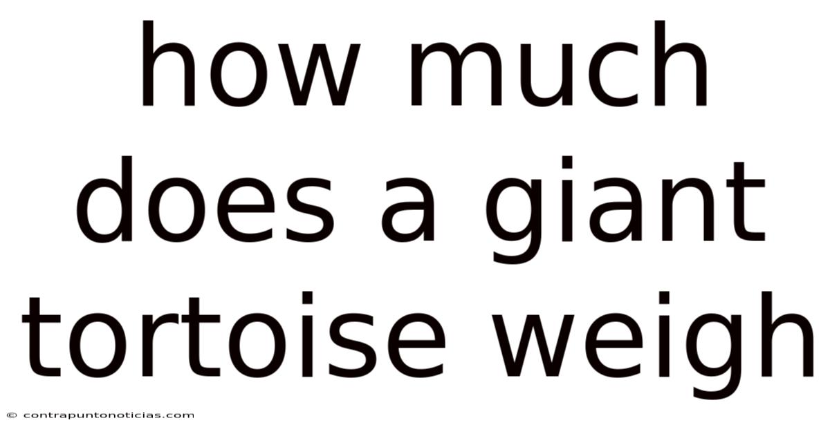 How Much Does A Giant Tortoise Weigh