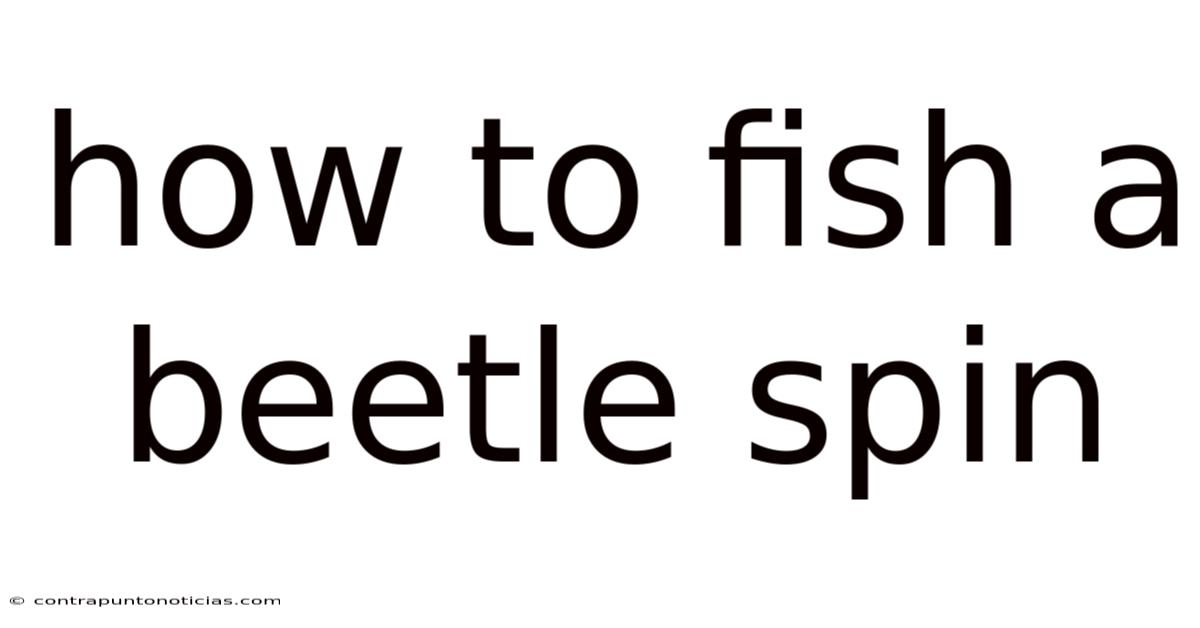 How To Fish A Beetle Spin