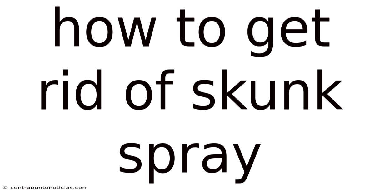 How To Get Rid Of Skunk Spray