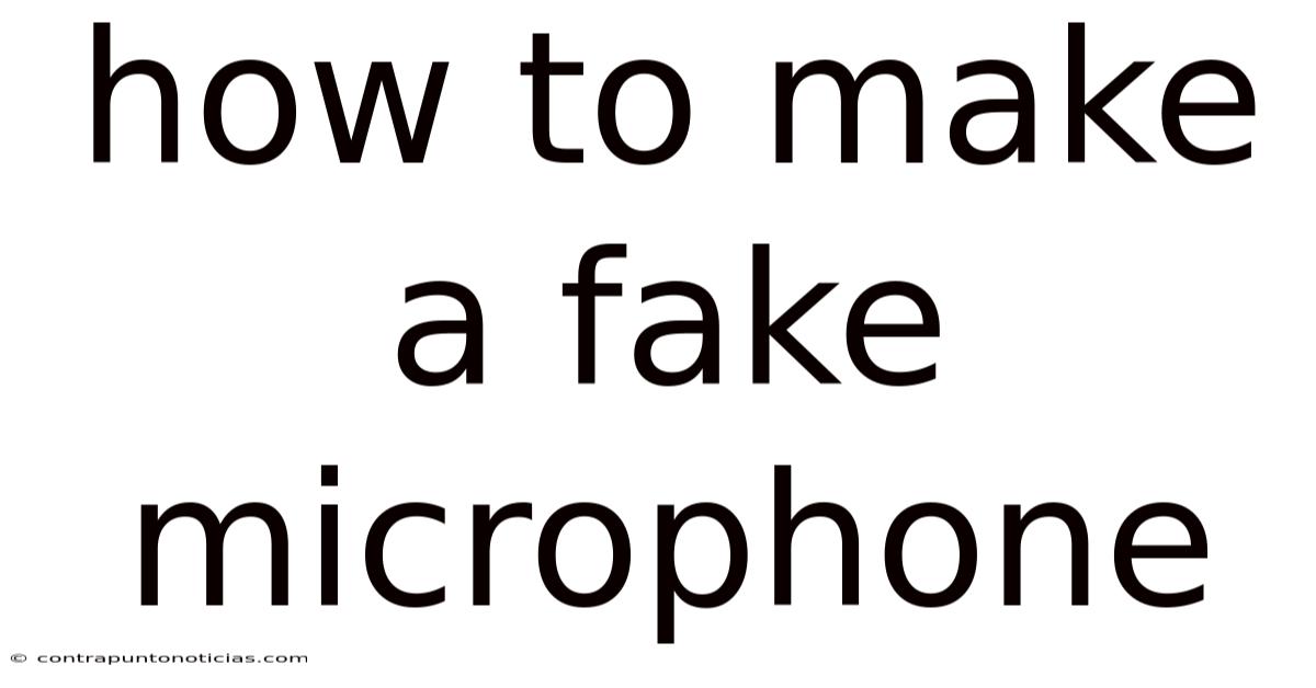 How To Make A Fake Microphone