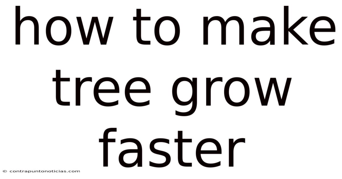 How To Make Tree Grow Faster