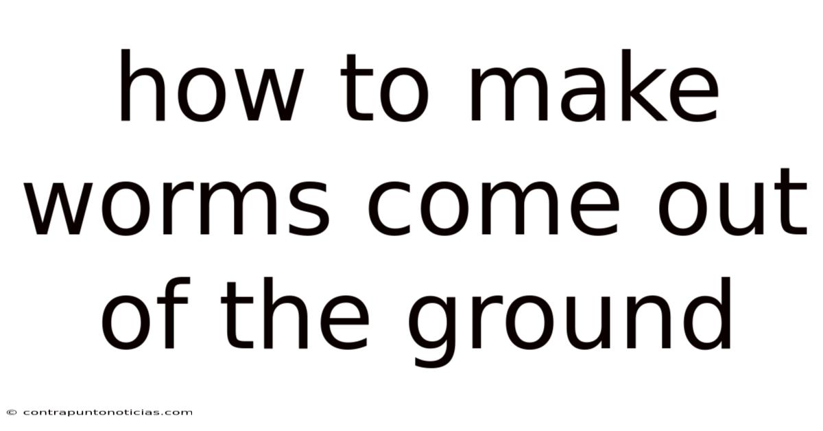 How To Make Worms Come Out Of The Ground
