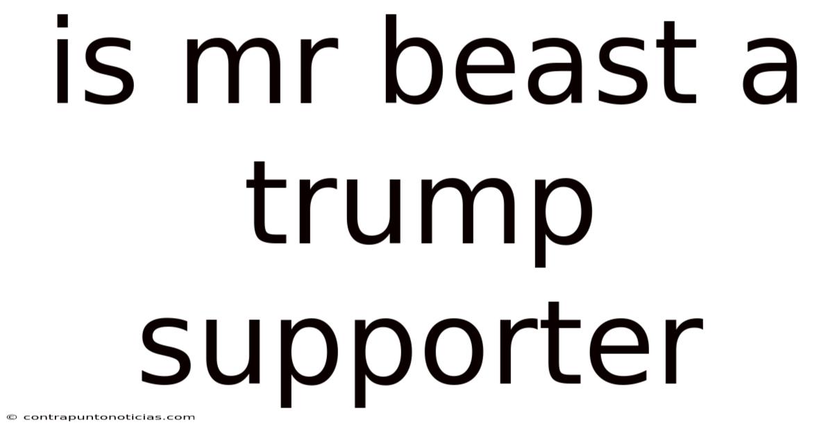 Is Mr Beast A Trump Supporter