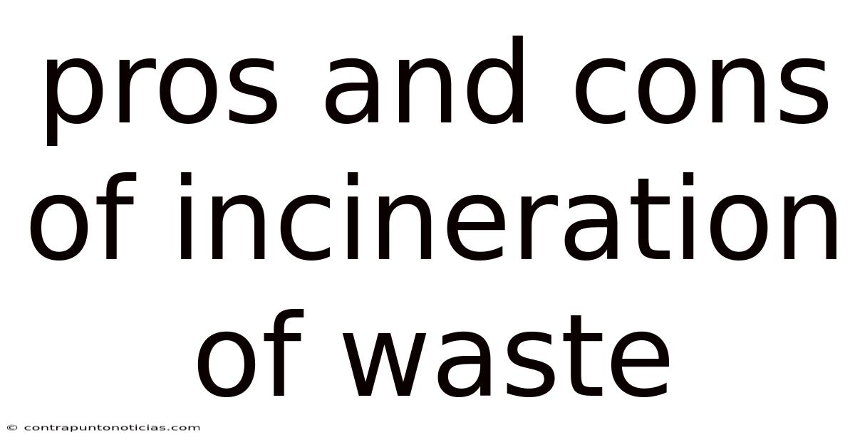 Pros And Cons Of Incineration Of Waste