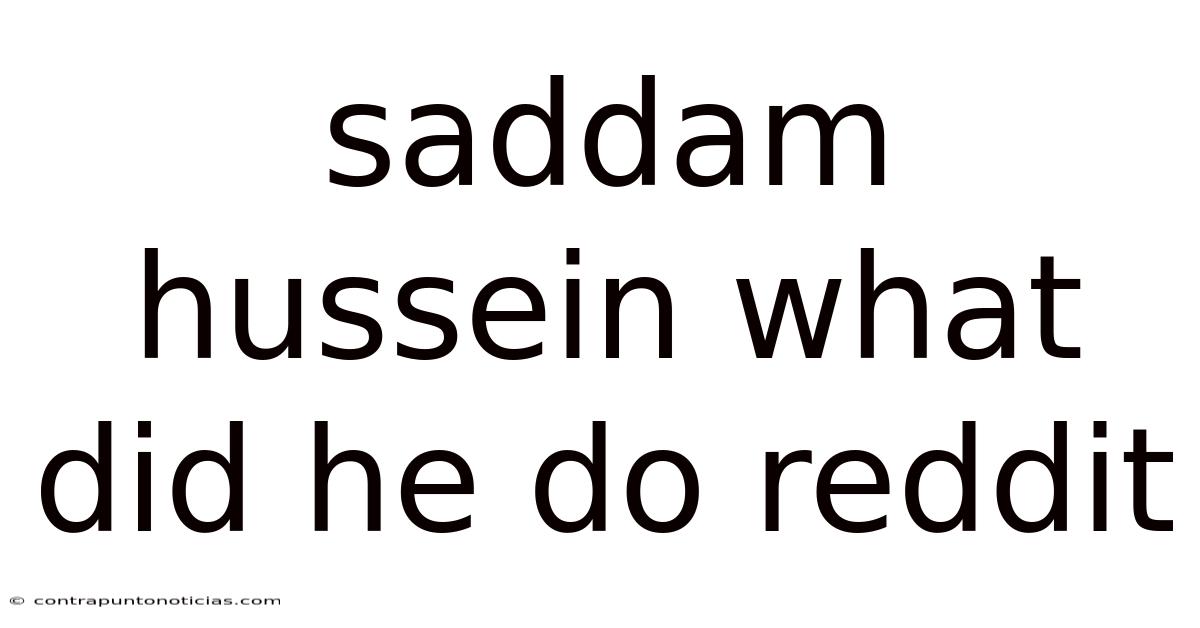 Saddam Hussein What Did He Do Reddit