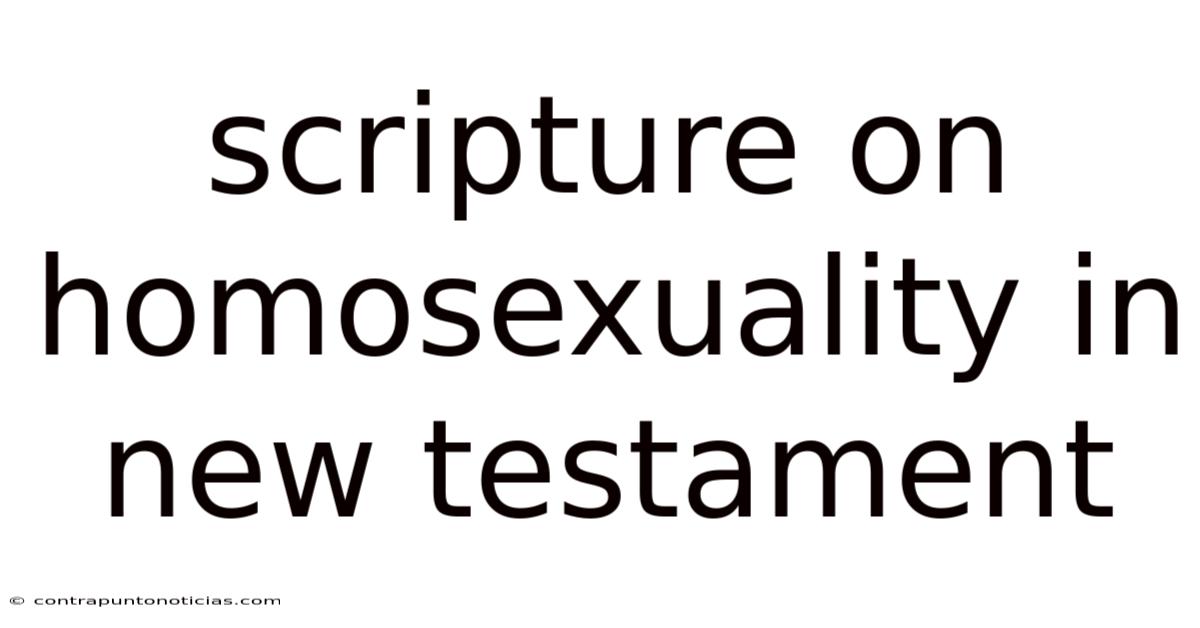 Scripture On Homosexuality In New Testament