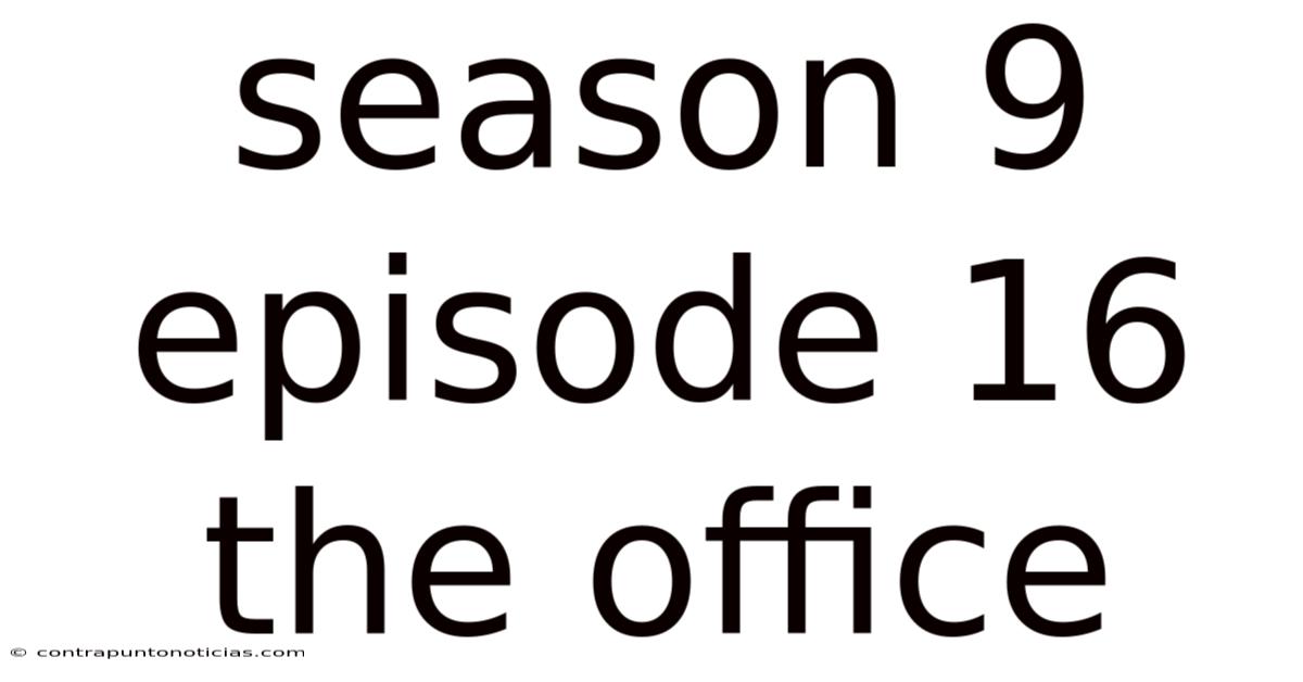 Season 9 Episode 16 The Office