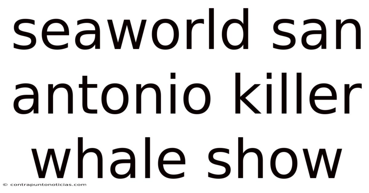 Seaworld San Antonio Killer Whale Show