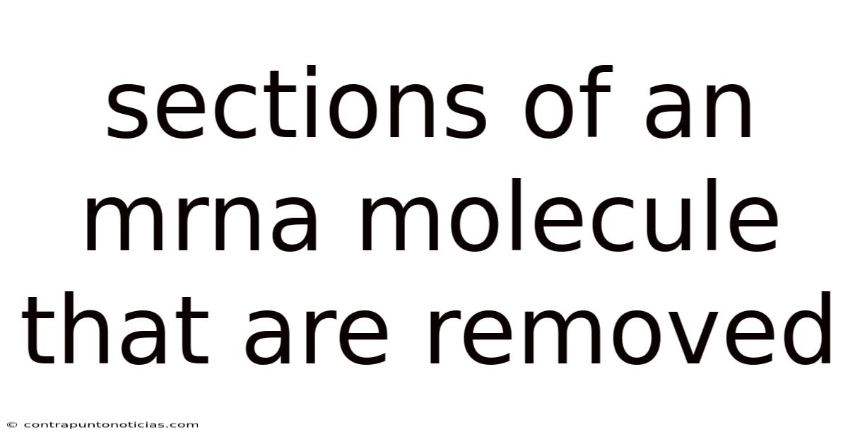 Sections Of An Mrna Molecule That Are Removed