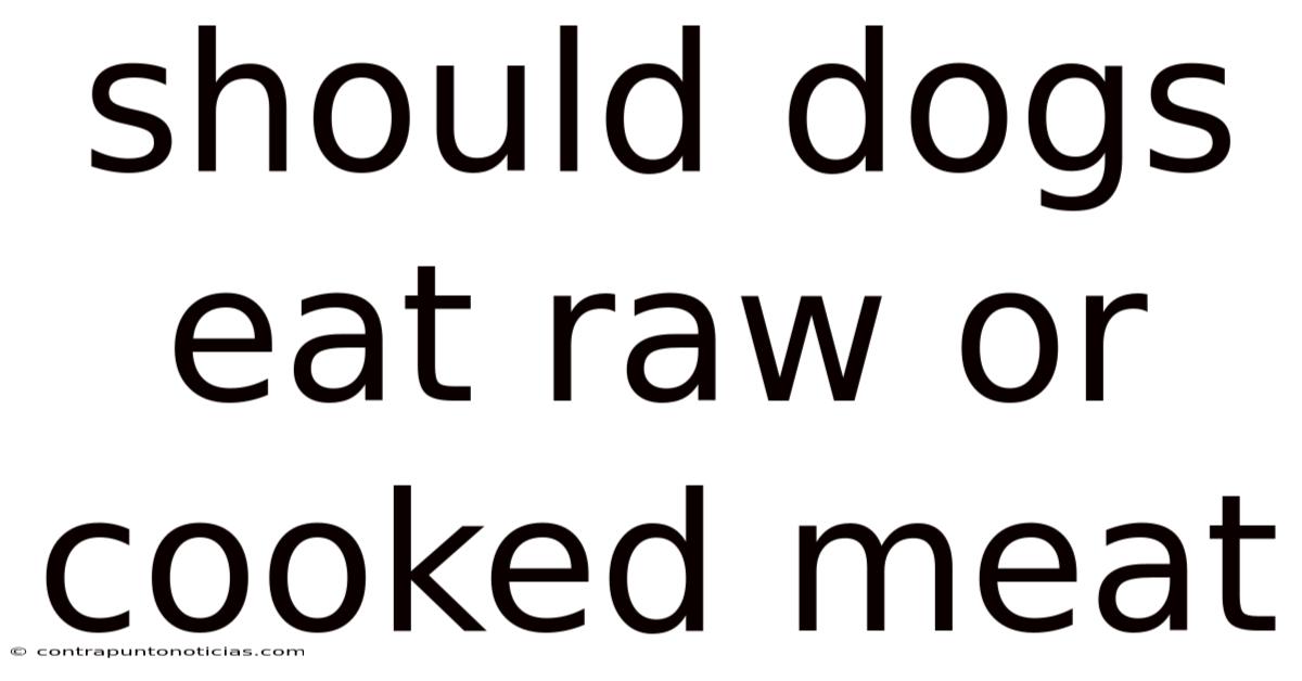 Should Dogs Eat Raw Or Cooked Meat