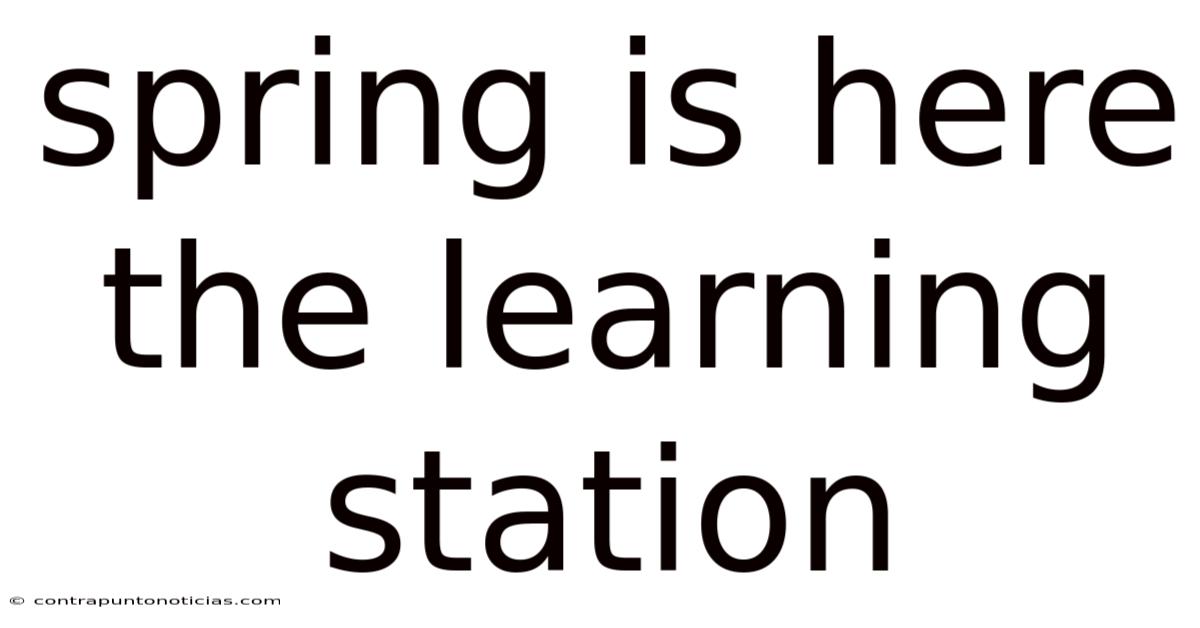 Spring Is Here The Learning Station